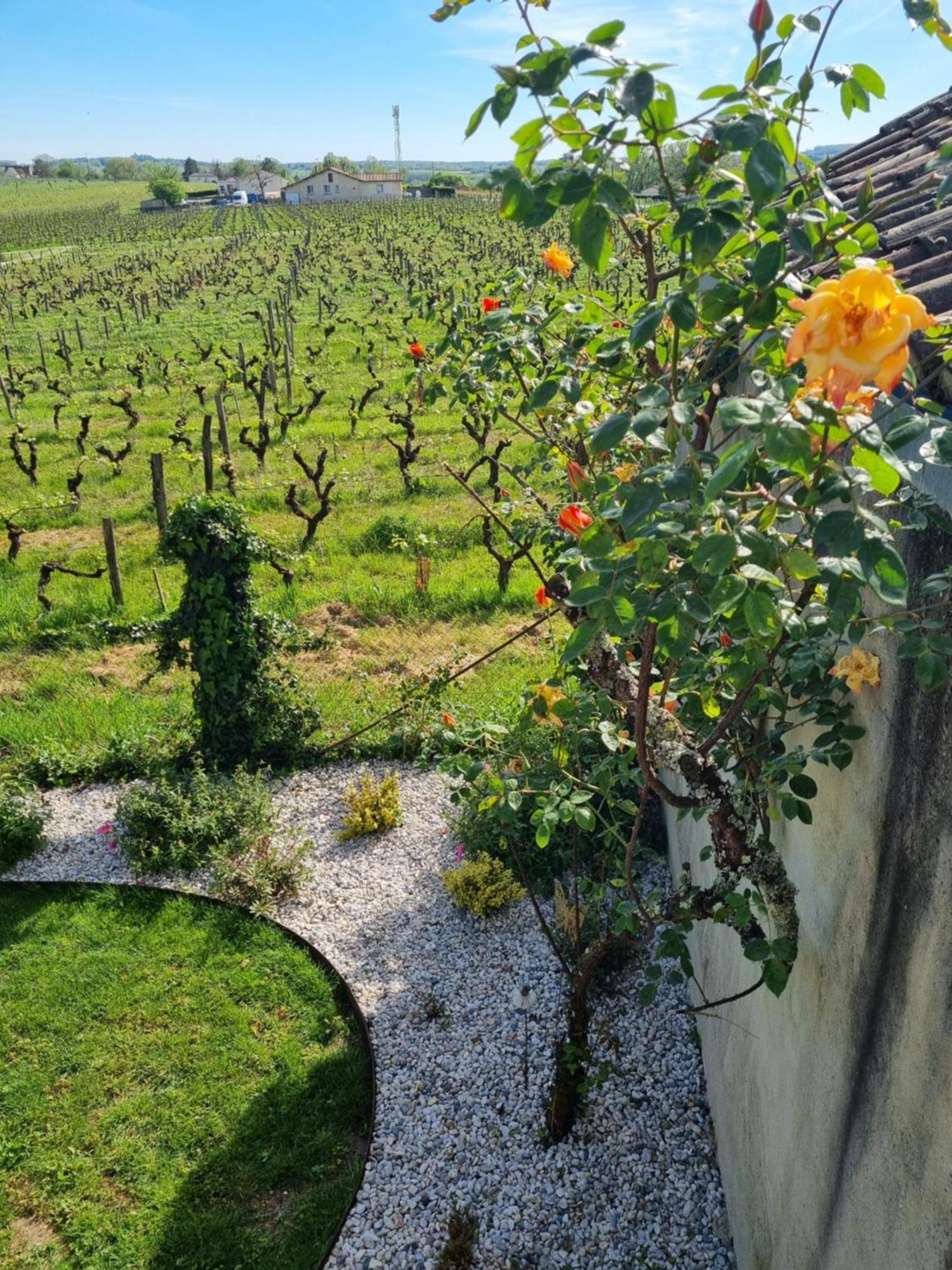 L'Esprit Du 24 Bed and Breakfast Rouffignac-de-Sigoules Εξωτερικό φωτογραφία